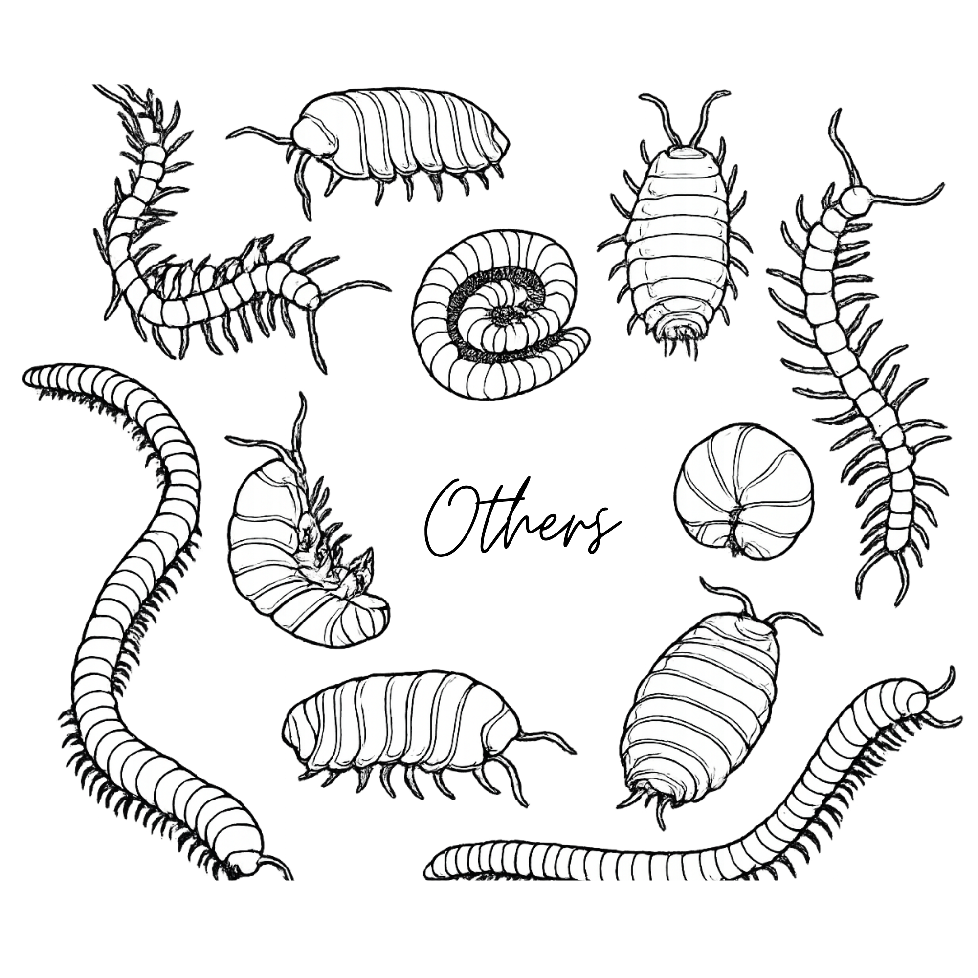 Others