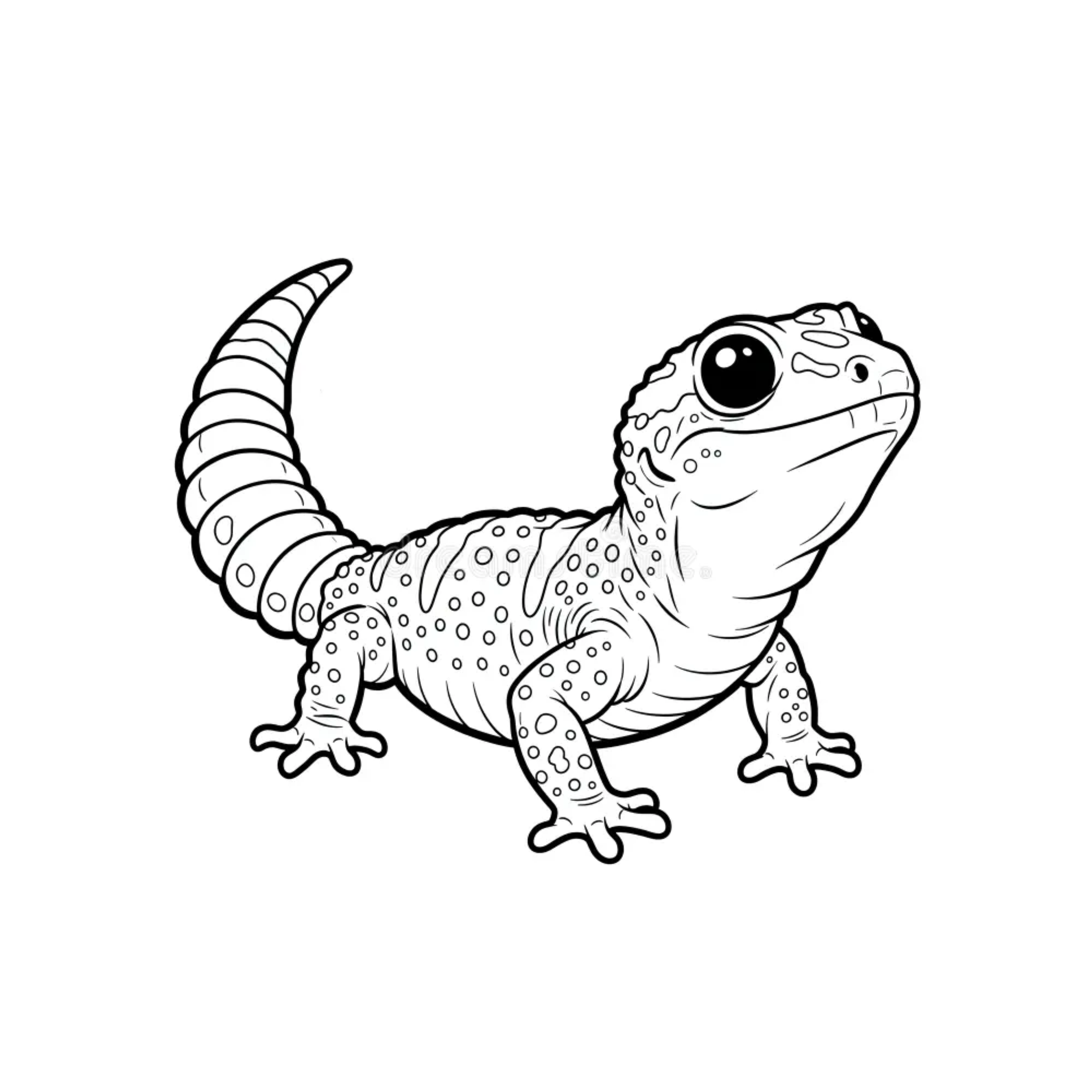 Gecko