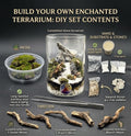 Rounded Terrarium DIY Set