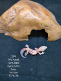African Fat-Tailed Gecko