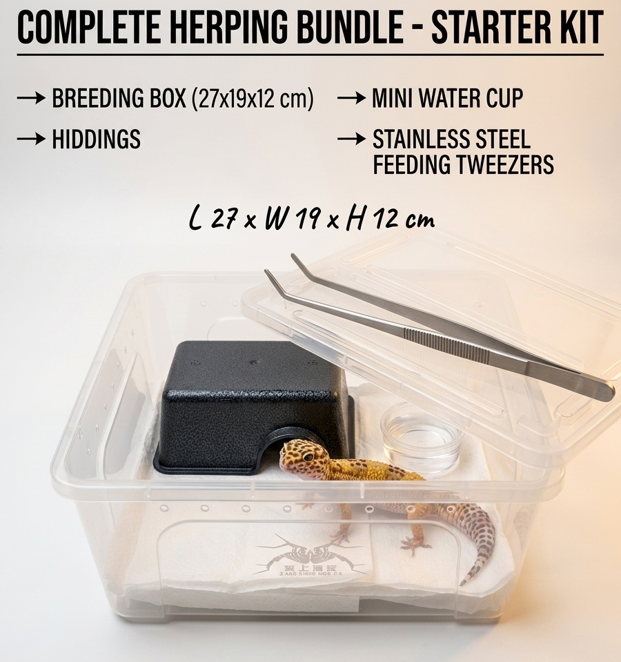 Gecko Enclosure Starter Kit (M Size)