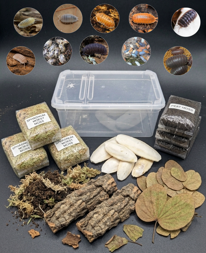 Isopod Bundle Set (M size)