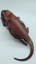 Dark Red Leatherback