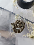 Hognose Snake