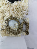 Hognose Snake