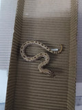 Hognose Snake