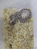 Hognose Snake