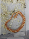 Hognose Snake