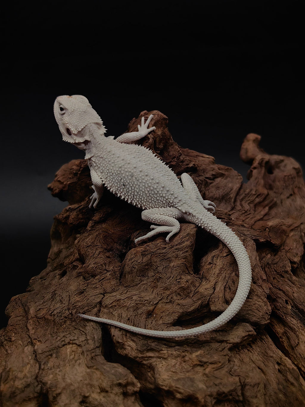 Hypo Zero