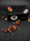 African Fat-Tailed Gecko