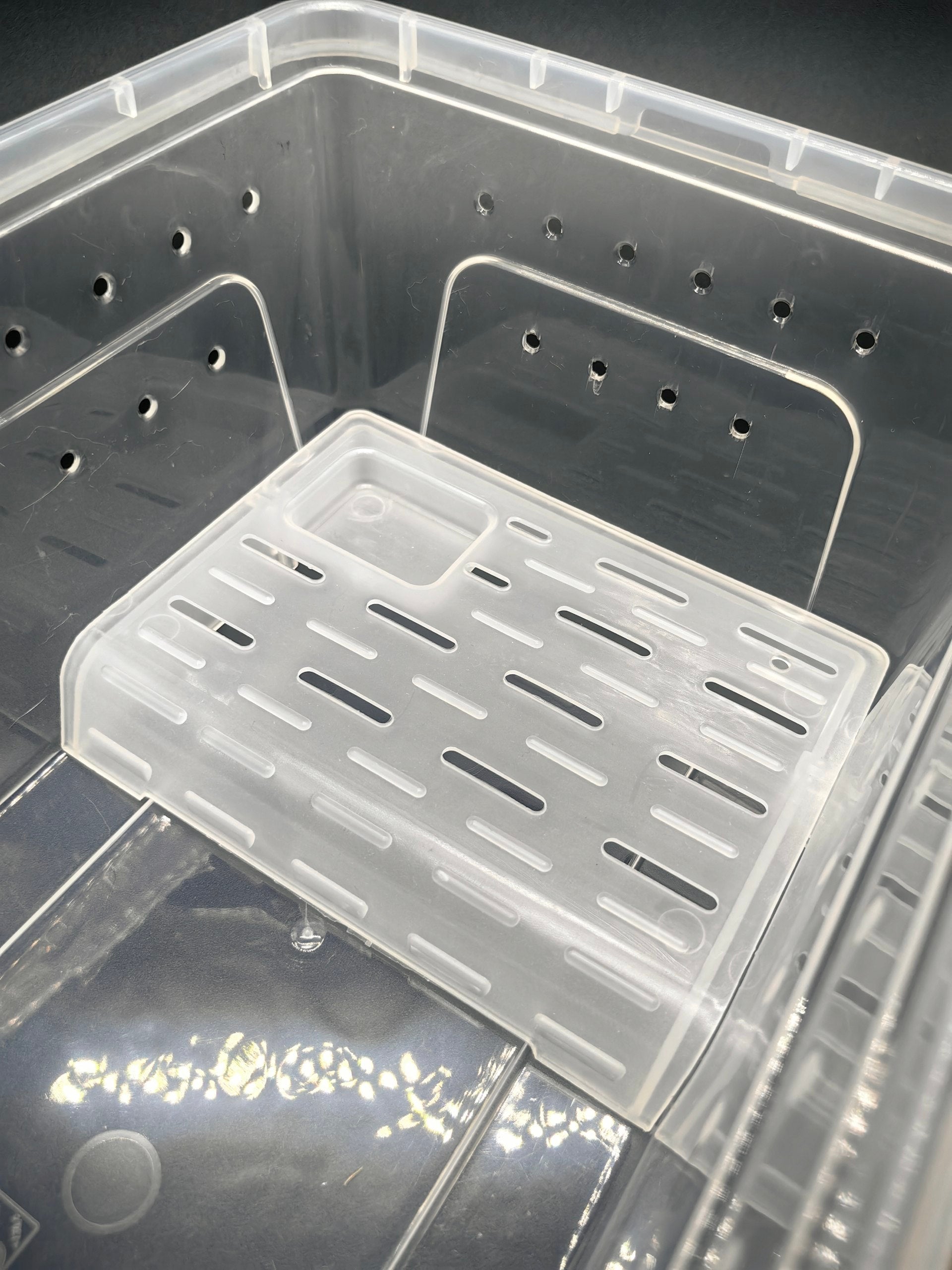 Platform ( Flat M size)