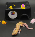 Leopard Gecko