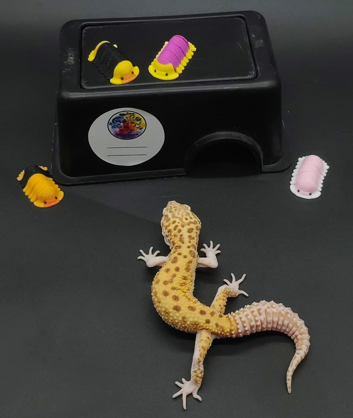 Leopard Gecko