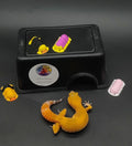 Leopard Gecko